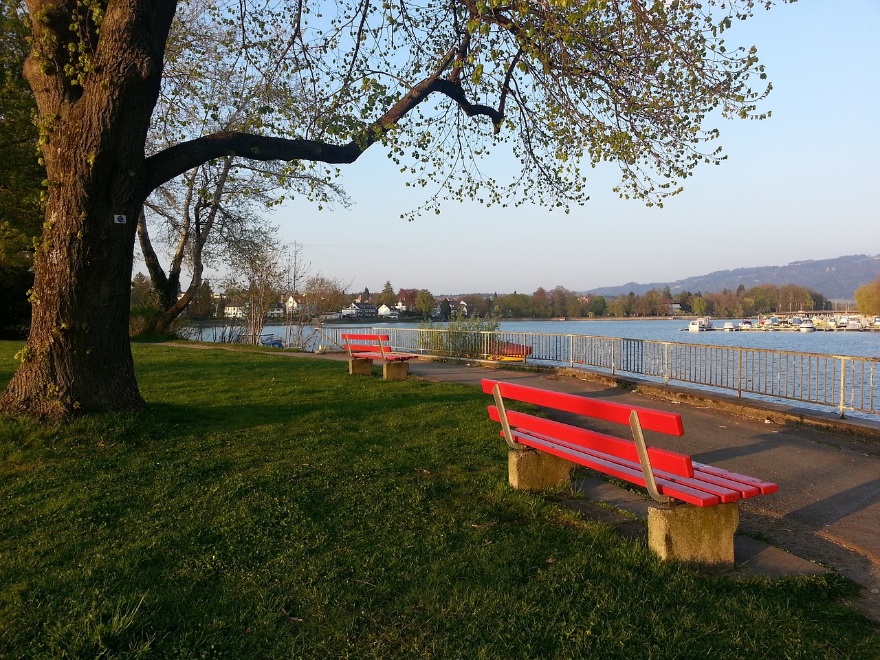 2025上海帆船公开赛将于3月举行.