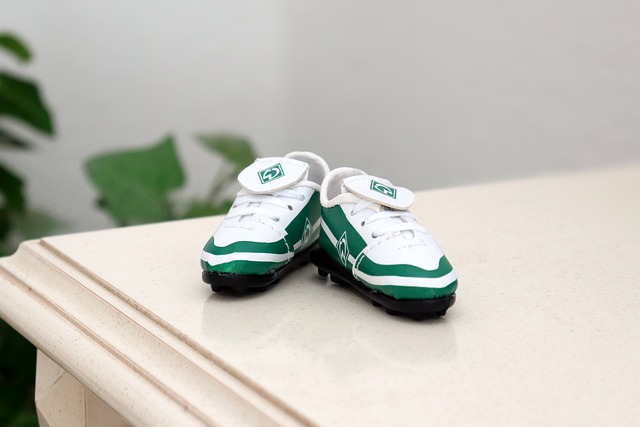 经从上赛季 经从上赛季