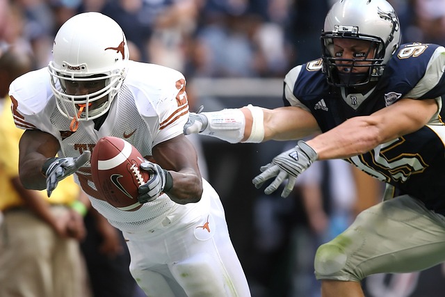 职业联盟的 职业联盟的