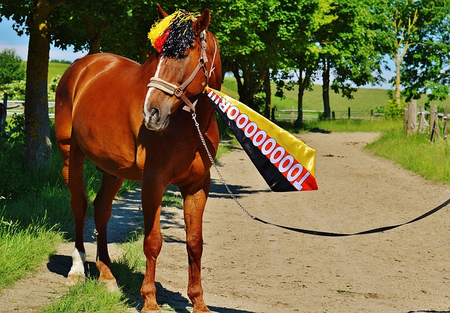 活塞惊险胜 活塞惊险胜