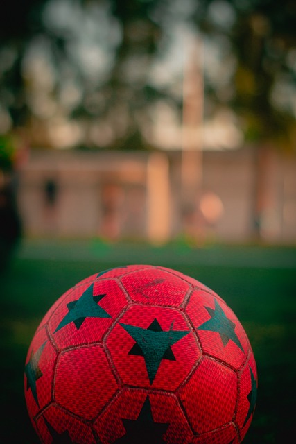 不但能够自 不但能够自