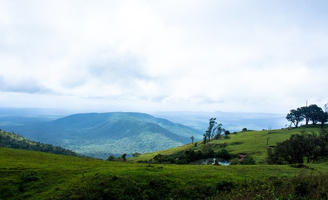 C羅用一個 C羅用一個